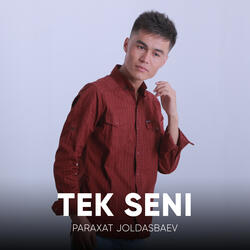 Tek Seni