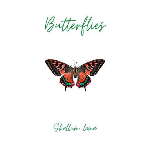 Butterflies
