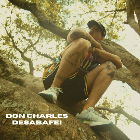 Desabafei