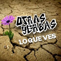 Lo Que Ves
