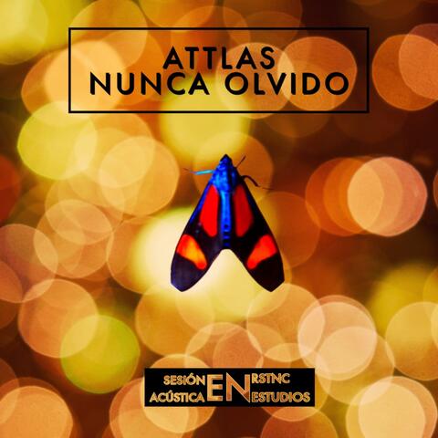 Nunca Olvido