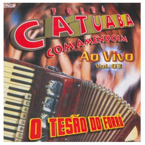O Tesão do Forró, Vol. 03