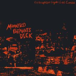 The Void of Shithole