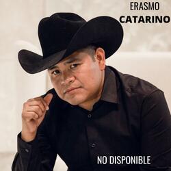 No Disponible