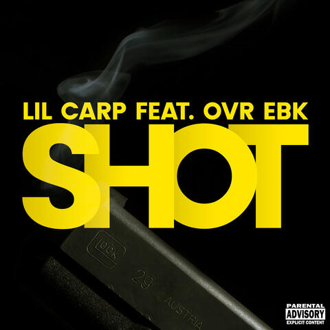 Shot