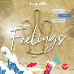 Feelings