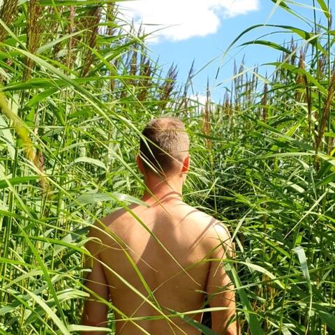 Родительский очаг