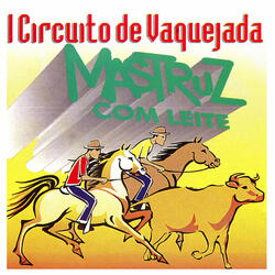 Festa de Vaquejada