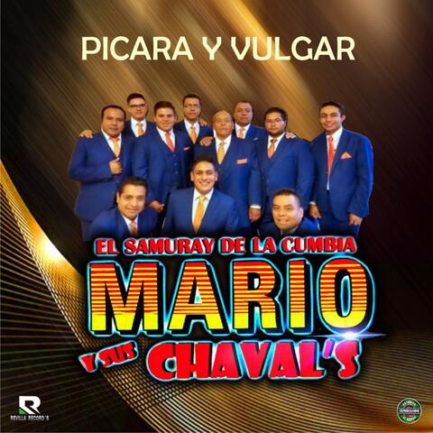 Picara y Vulgar