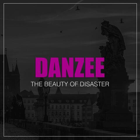 The Beauty of Disaster