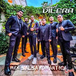 Mix Salsa Romantica: Que Locura Enamorarme de Ti / Un Montón de Estrellas