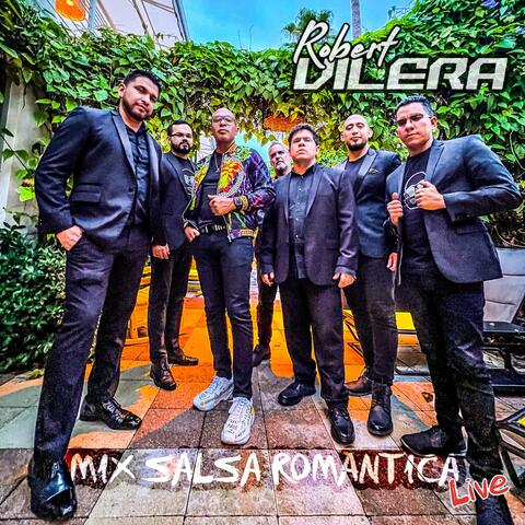 Mix Salsa Romantica: Que Locura Enamorarme de Ti / Un Montón de Estrellas