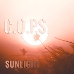 Sunlight