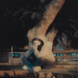 Let's Not Stop Shining