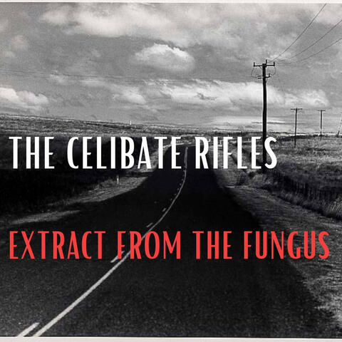 Extract from the Fungus
