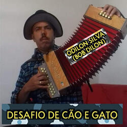 Desafio de Cão e Gato