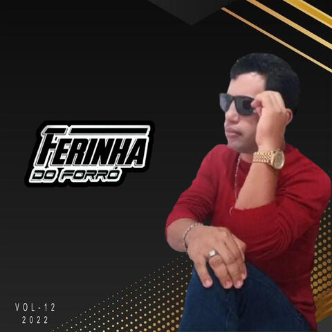 Ferinha do Forró, Vol. 12