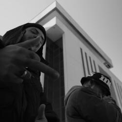 Lingo Lingo
