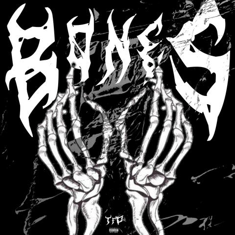 Bones