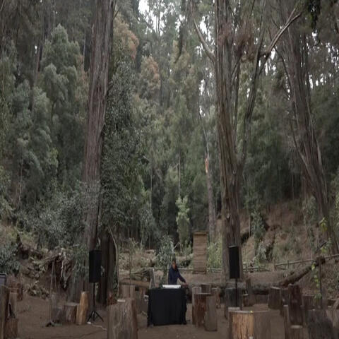 Festival Toda la Teoría del Universo