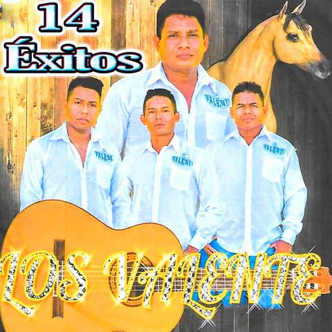 14 Exitos