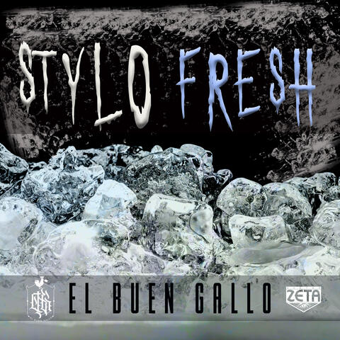 Stylo Fresh