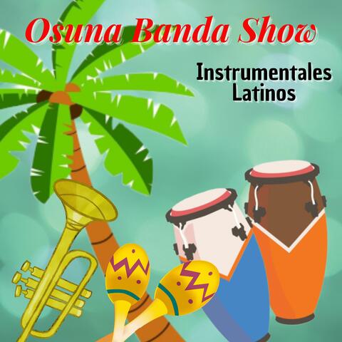 Instrumentales Latinos