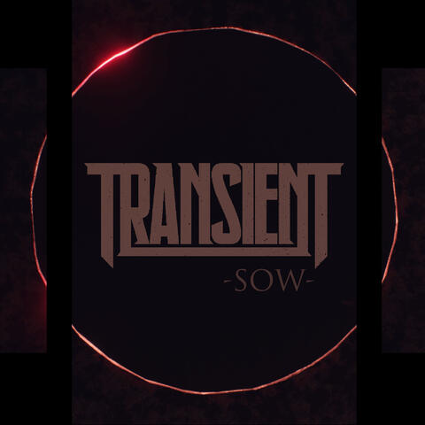 Sow