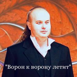 Ворон к ворону летит