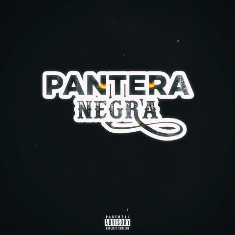 Pantera Negra