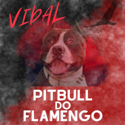 Vidal Pitbull do Flamengo