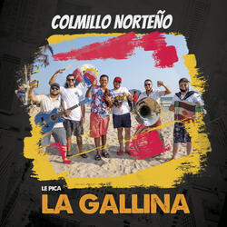 Le Pica la Gallina