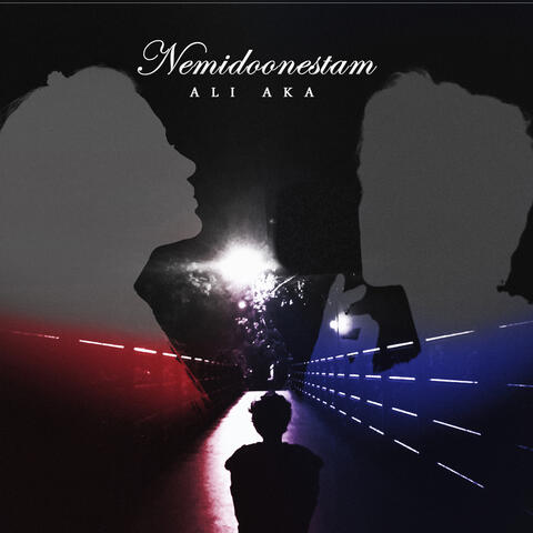 Nemidoonestam