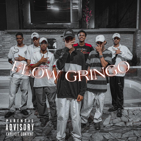 Flow Gringo