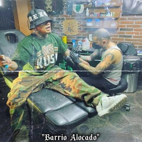 Barrio Alocado