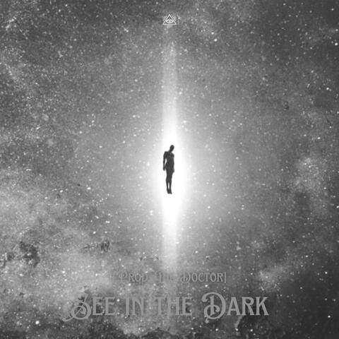 See in the Dark