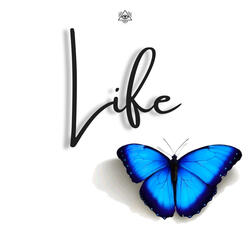 Life
