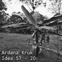 Idea 57 - 20