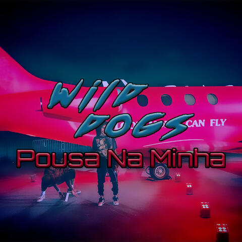 Pousa na Minha