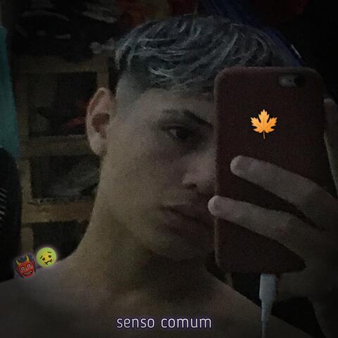 Senso Comum
