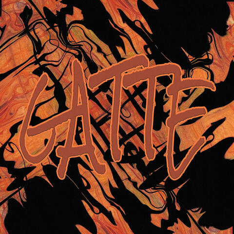 Gatte