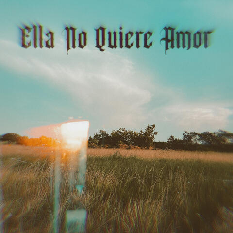 Ella No Quiere Amor