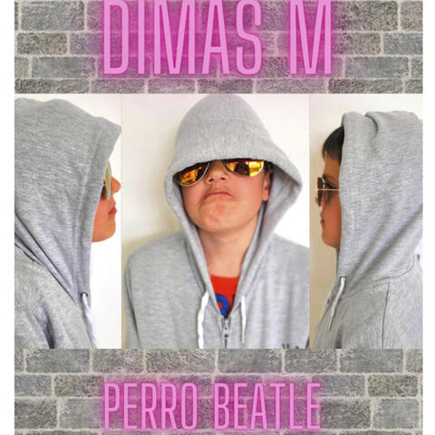 Perro Beatle