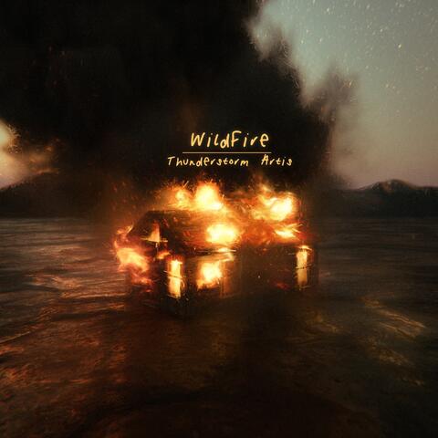 Wildfire