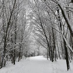 Blues and Lovely Muse (Take 3)