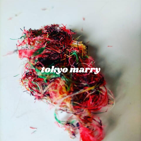 ブラジリアン・ボーイフレンド