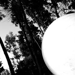 Zeus' Organ Doesn't Stop Growing!