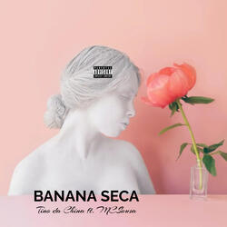 Banana Seca