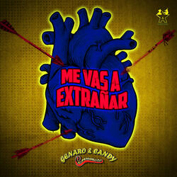 Me Vas a Extrañar