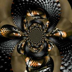 Black Mamba